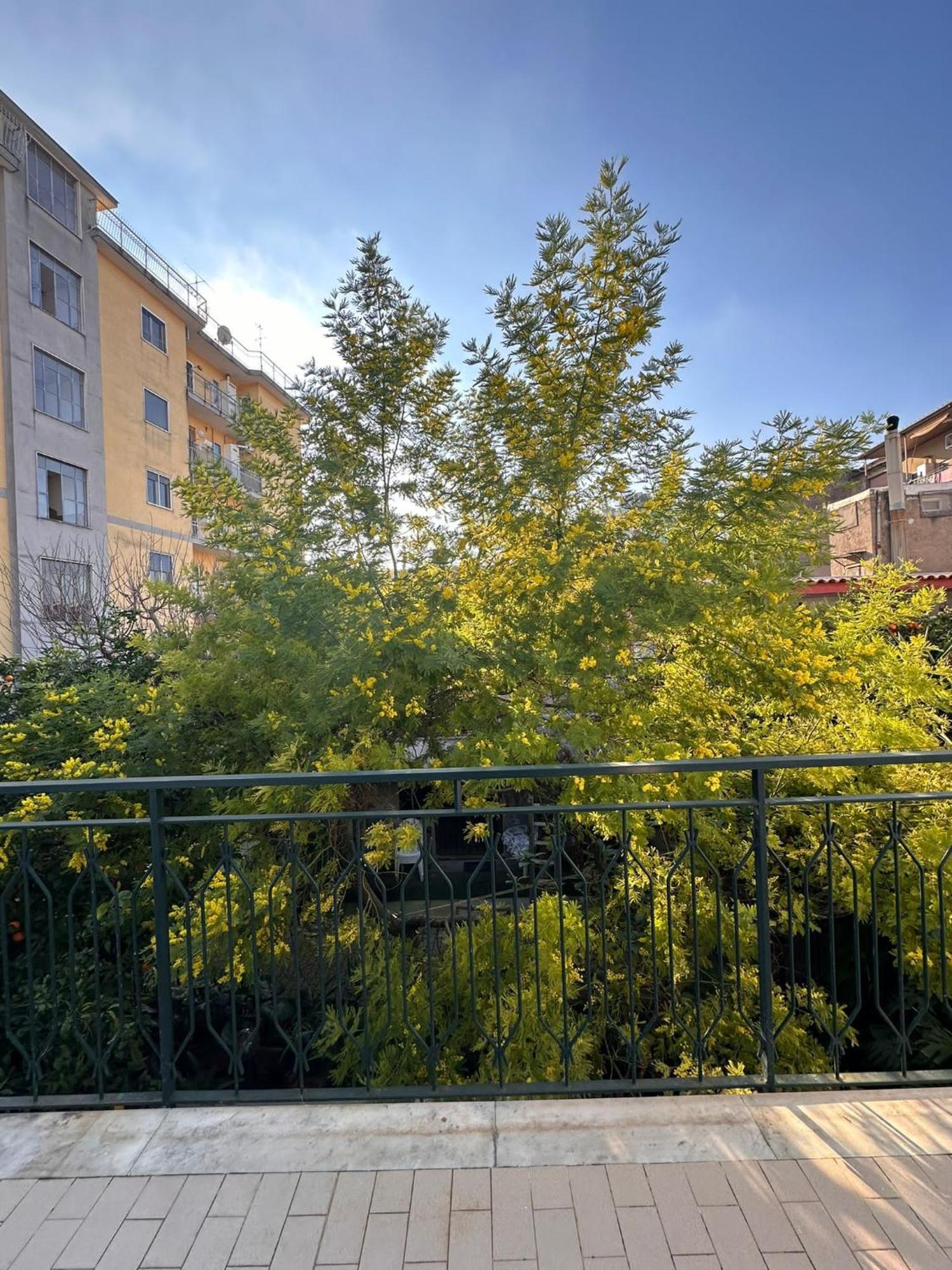 Il Campanile Hotel Scafati Exterior photo